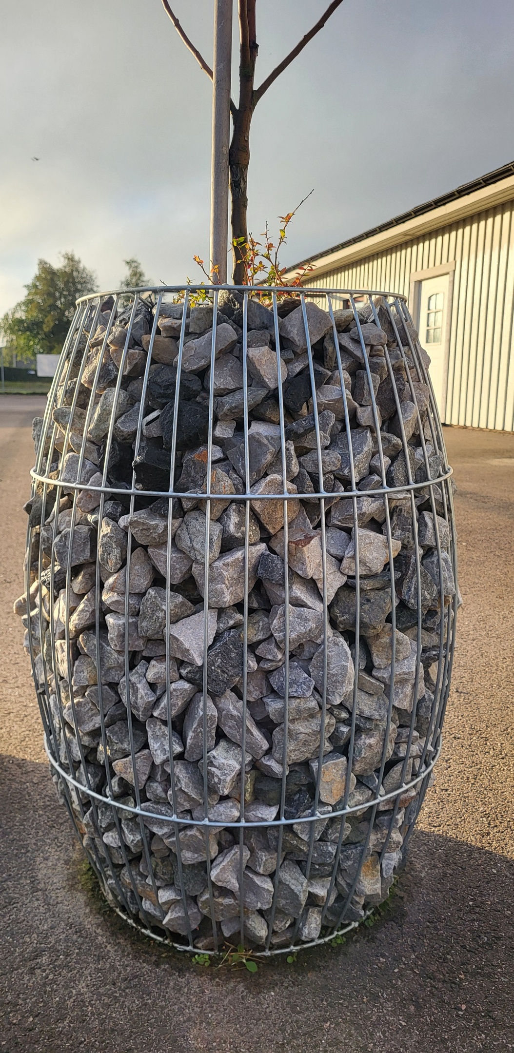 Daisy - Tunna Gabionkruka stenkorg 